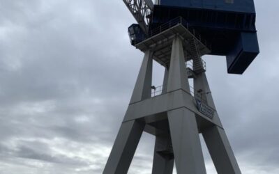 Havyard